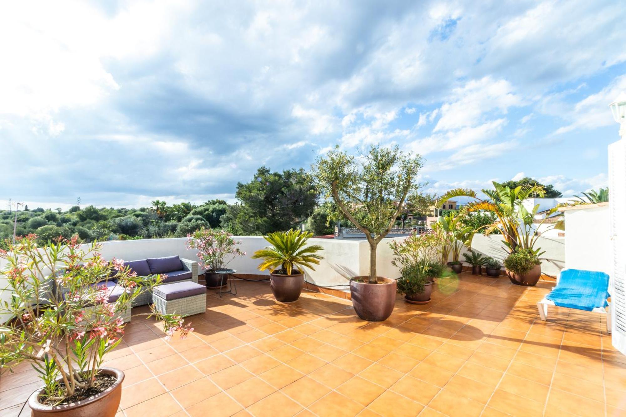 Can Flores 3 Apartment Santanyi Ngoại thất bức ảnh